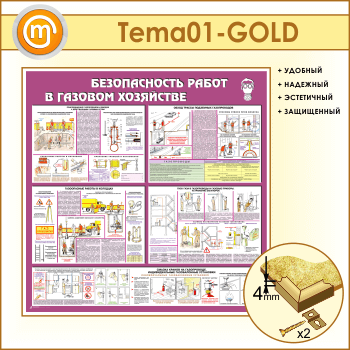 ����� ������������� ����� � ������� ��������� (TM-01-GOLD)