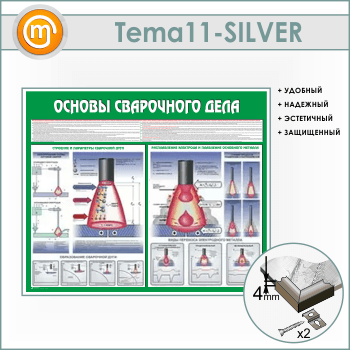 ����� ������� ���������� ���� (TM-11-SILVER)