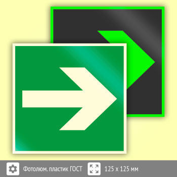 Знак E02-01 «Направляющая стрелка» (фотолюминесцентный пластик ГОСТ 34428-2018, 125х125 мм)