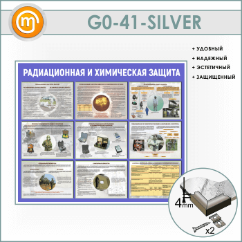 ����� ������������� � ���������� ������ (GO-41-SILVER)