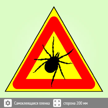 ���� ������, B99 (������, ������� 300 ��)