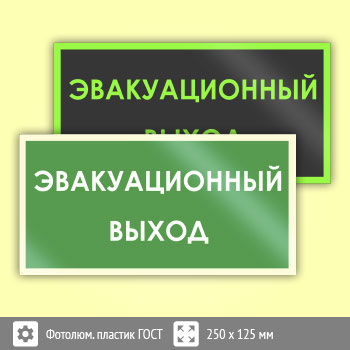 Знак B43 «Эвакуационный выход» (фотолюминесцентный пластик ГОСТ 34428-2018, 250х125 мм)