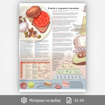 Плакат «Ключи к здоровому питанию» (ЗОЖ-10, 1 лист)