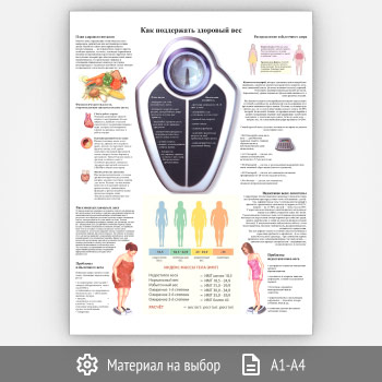 Плакат «Как поддержать здоровый вес» (ЗОЖ-11, 1 лист)